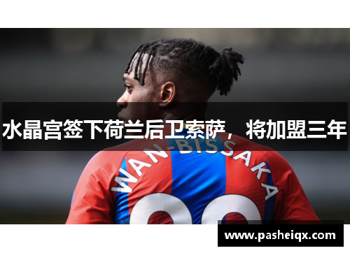 水晶宫签下荷兰后卫索萨，将加盟三年